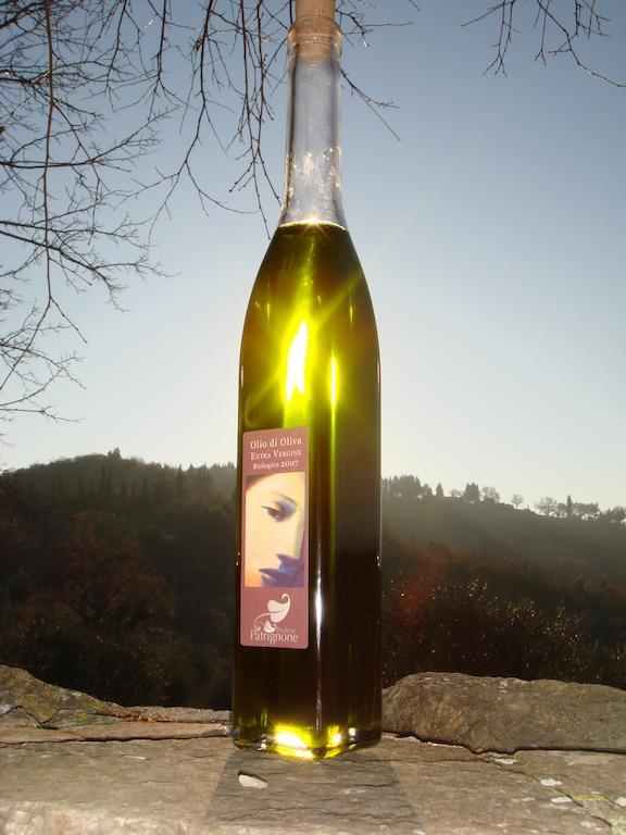 卡斯特利纳－因基安蒂 Podere Patrignone旅馆 外观 照片